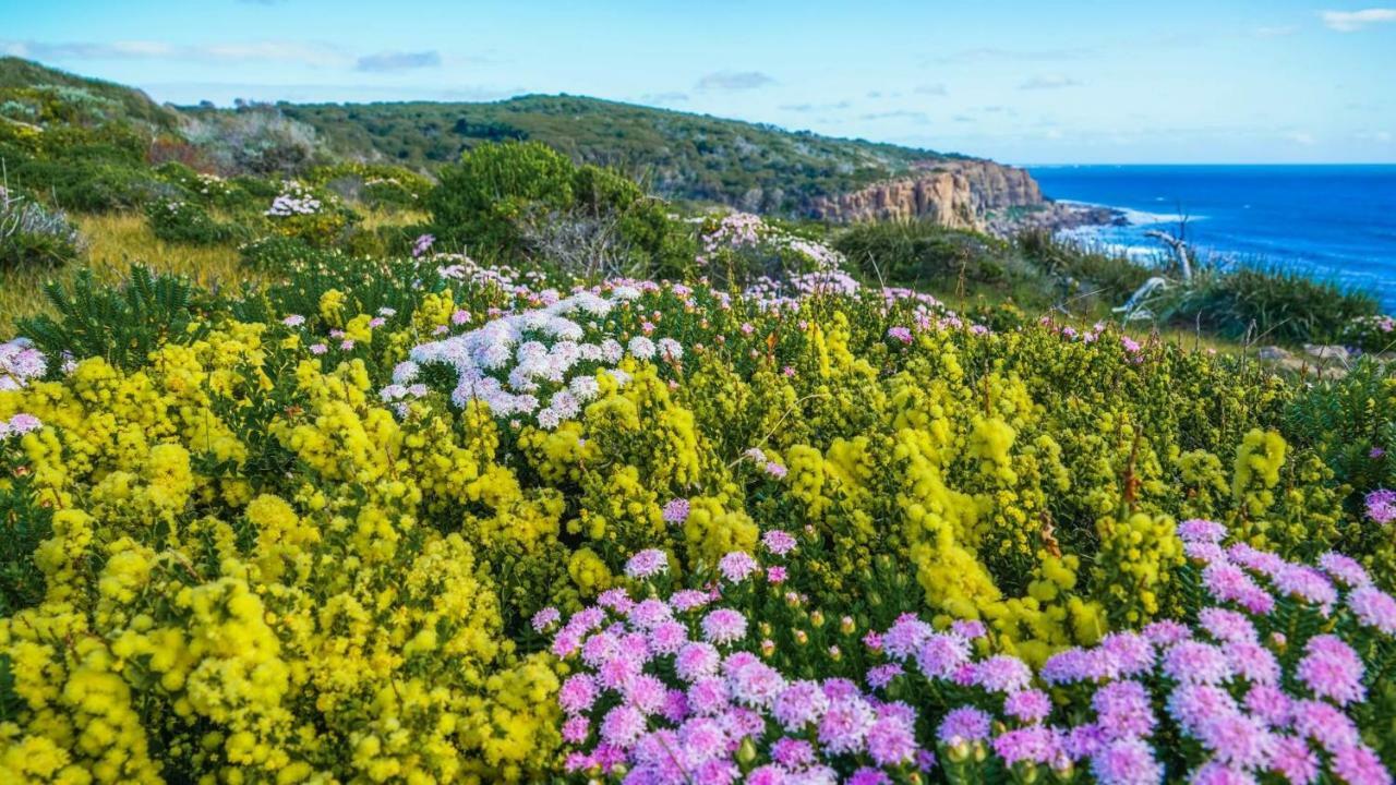 By The Sea Margaret River Gnarabup Extérieur photo